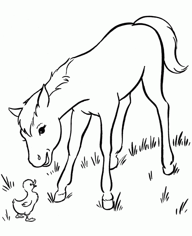 Horse Coloring Book Free ClipArt Best