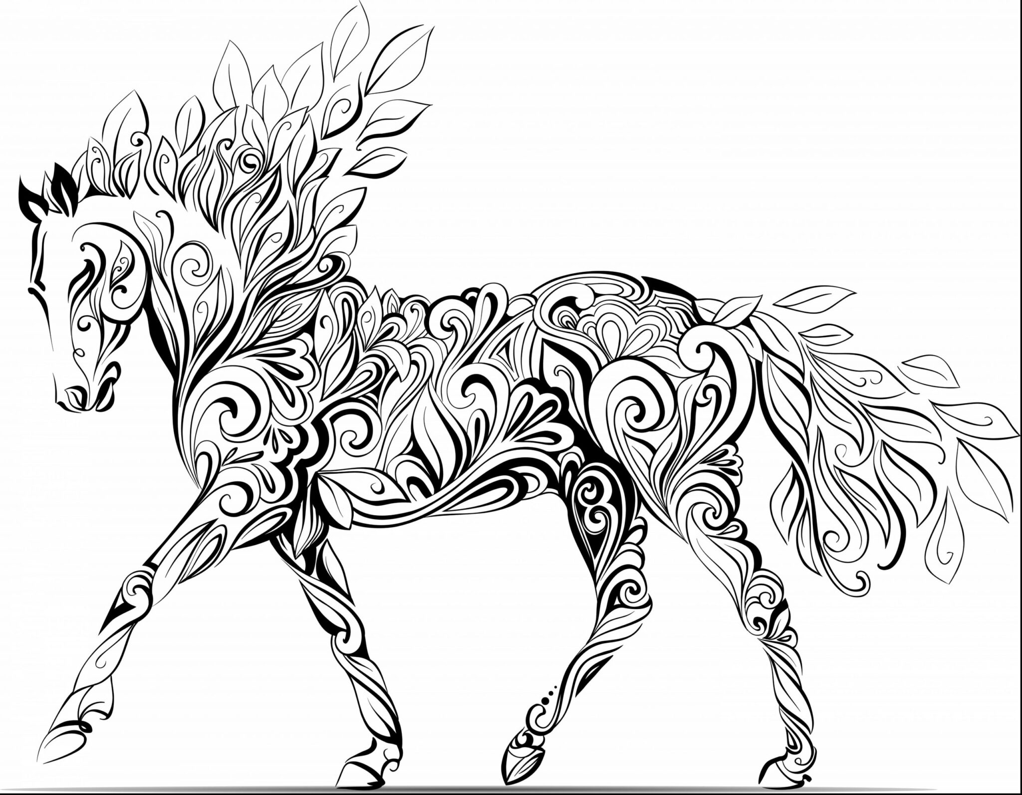 Horse Coloring Books AdultcoloringbookZ