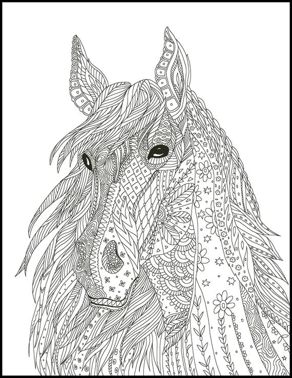Horse Coloring Books AdultcoloringbookZ