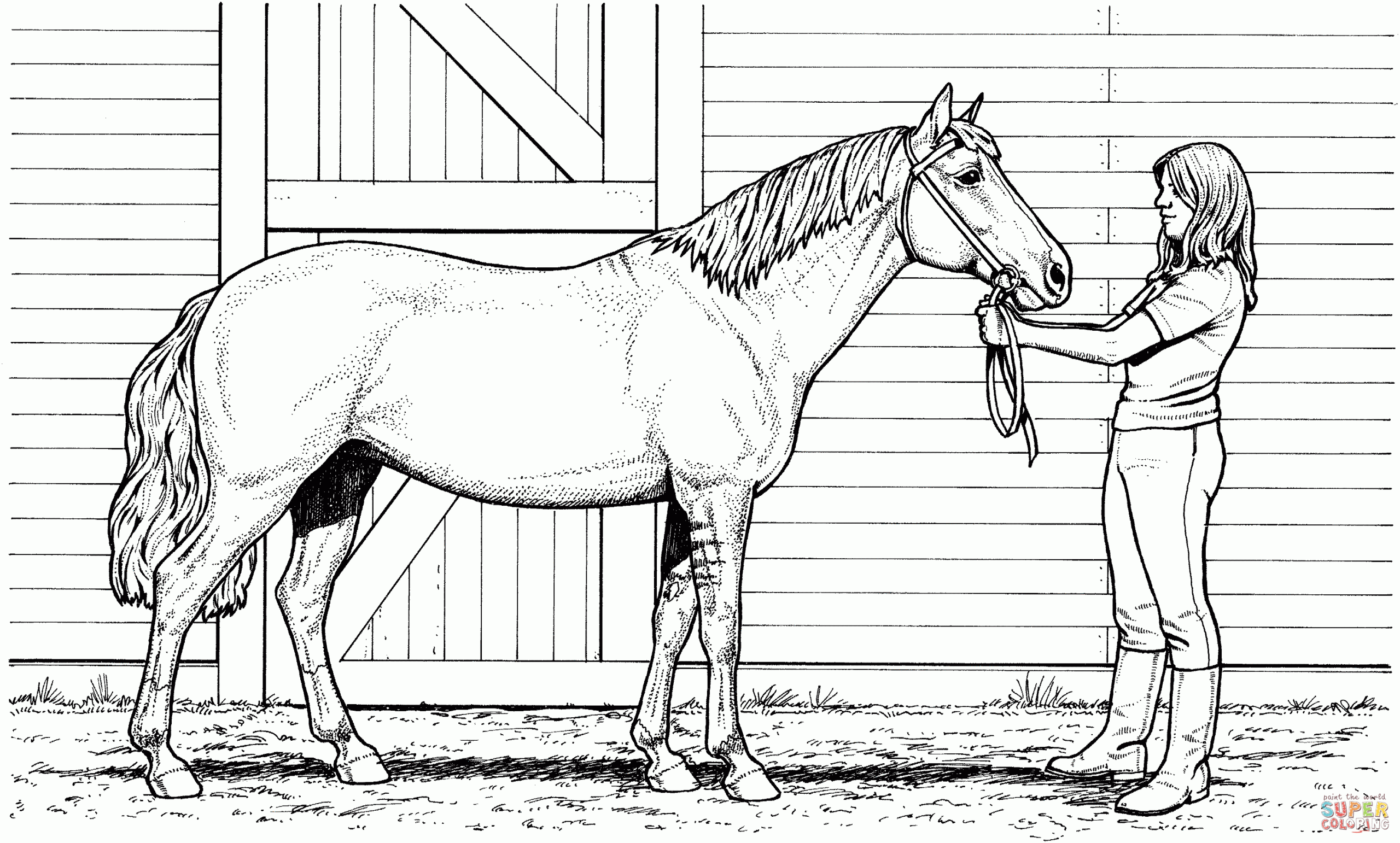 Horse Coloring Pages Hard Coloring Home