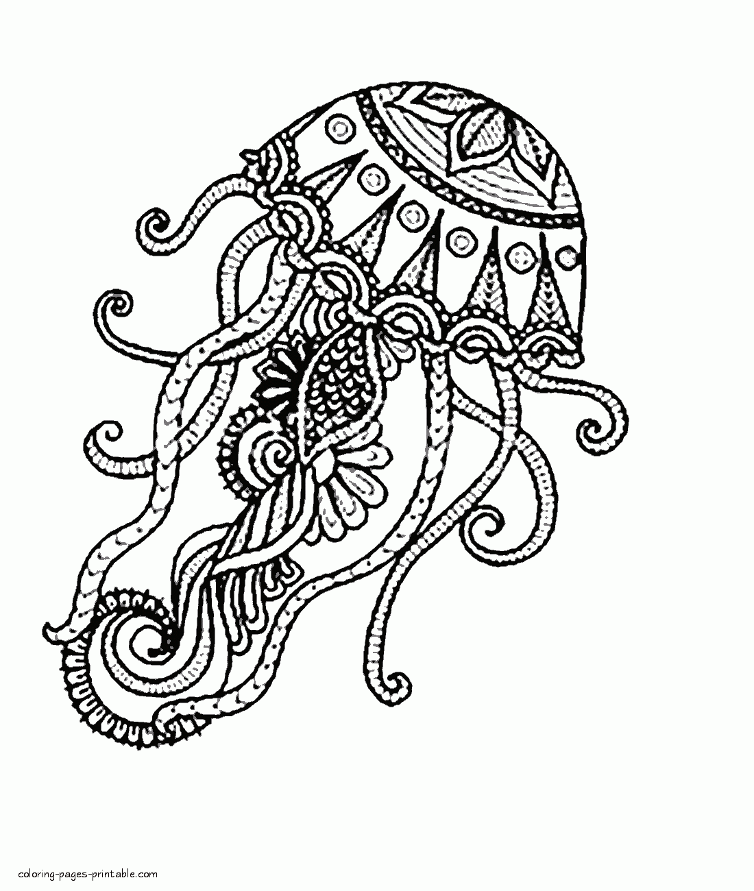 Jellyfish Adult Coloring Page COLORING PAGES PRINTABLE COM