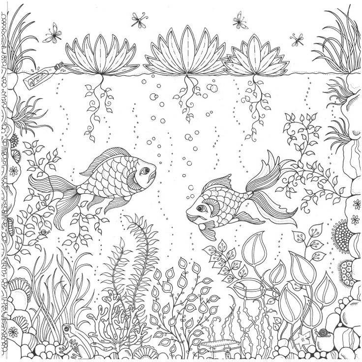 Johanna Basford Coloring Images Coloring Pages