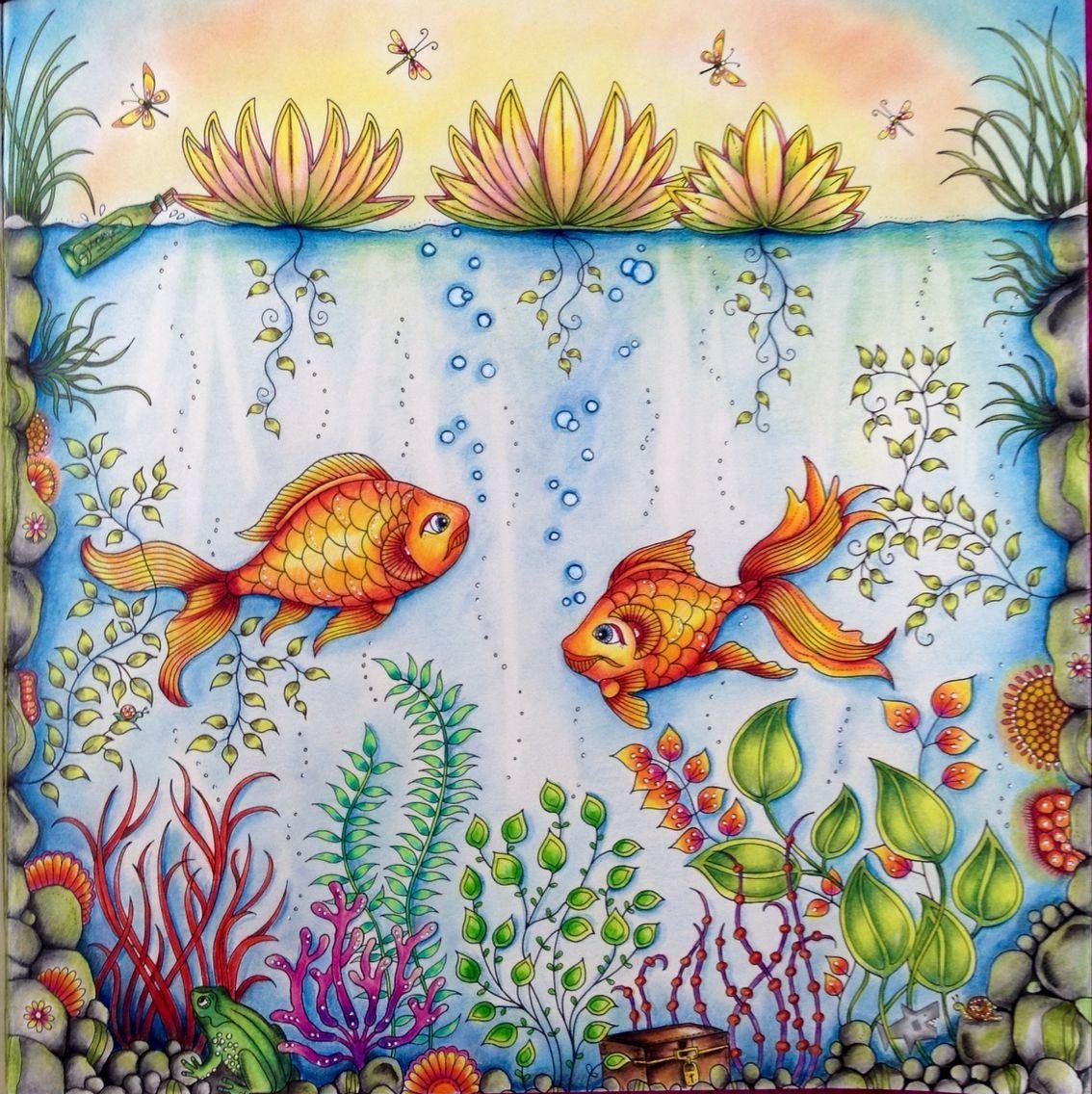 Johanna Basford Malbuch Sch ner Geheimer Garten Johanna Basford Ich 