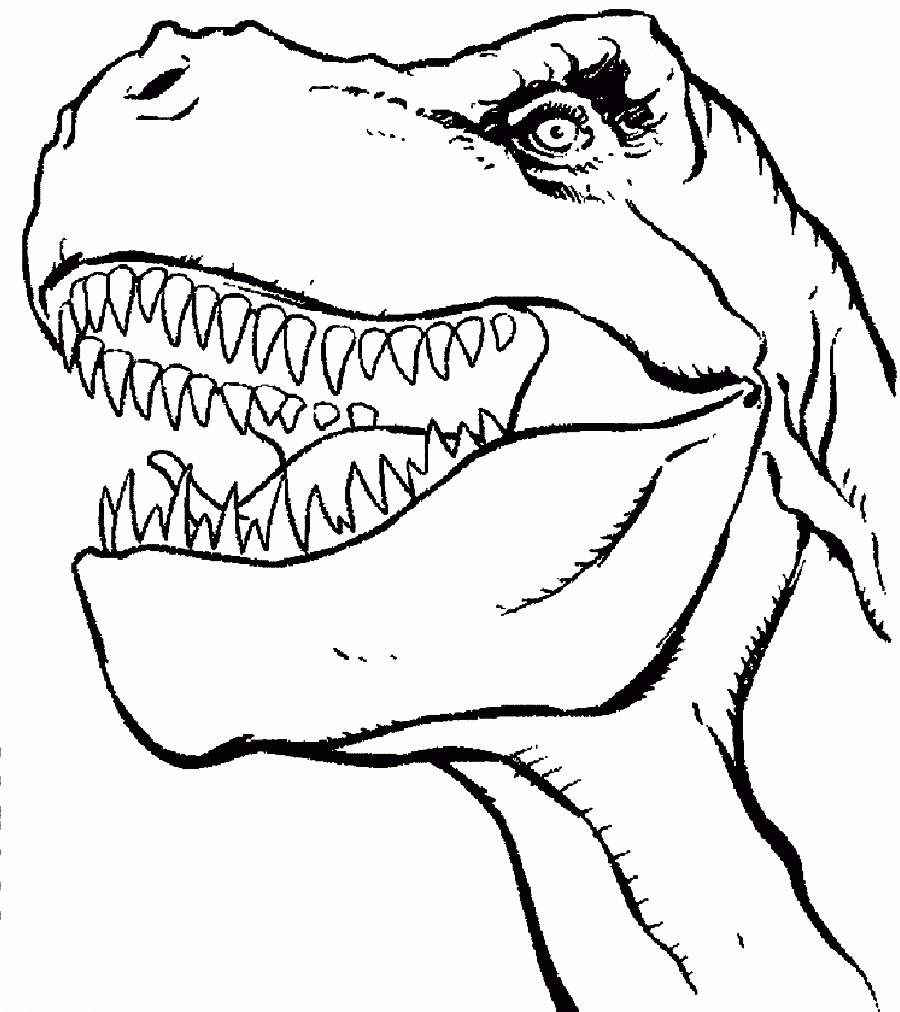 Kids Trex Coloring Pages Coloring Home