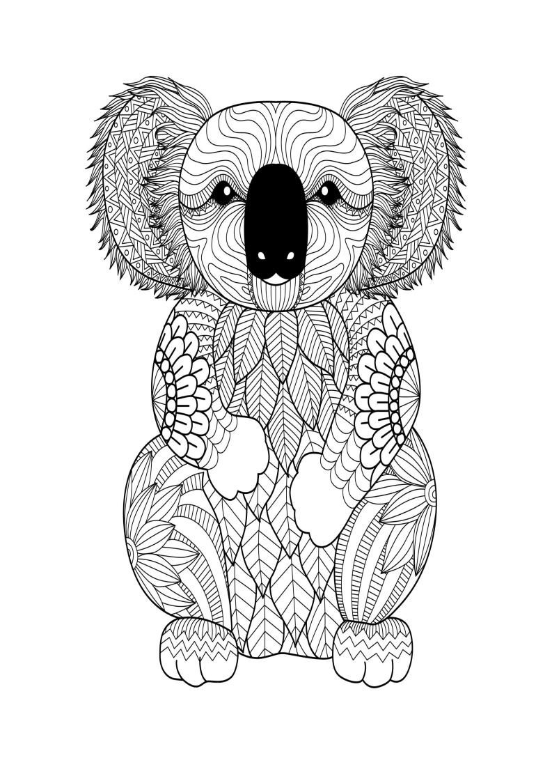 Koala Mindful Colouring Sheet Pedagogue
