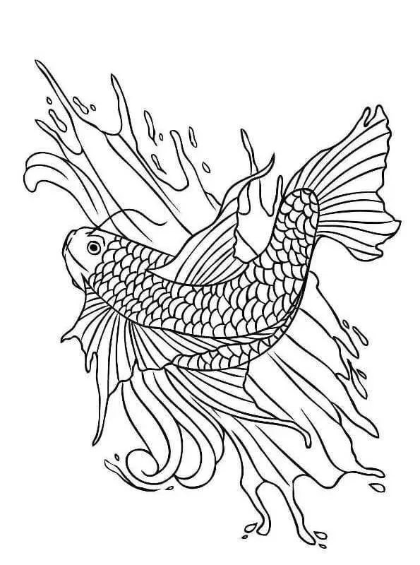 Koi Fish Marvelous Coloring Online Free