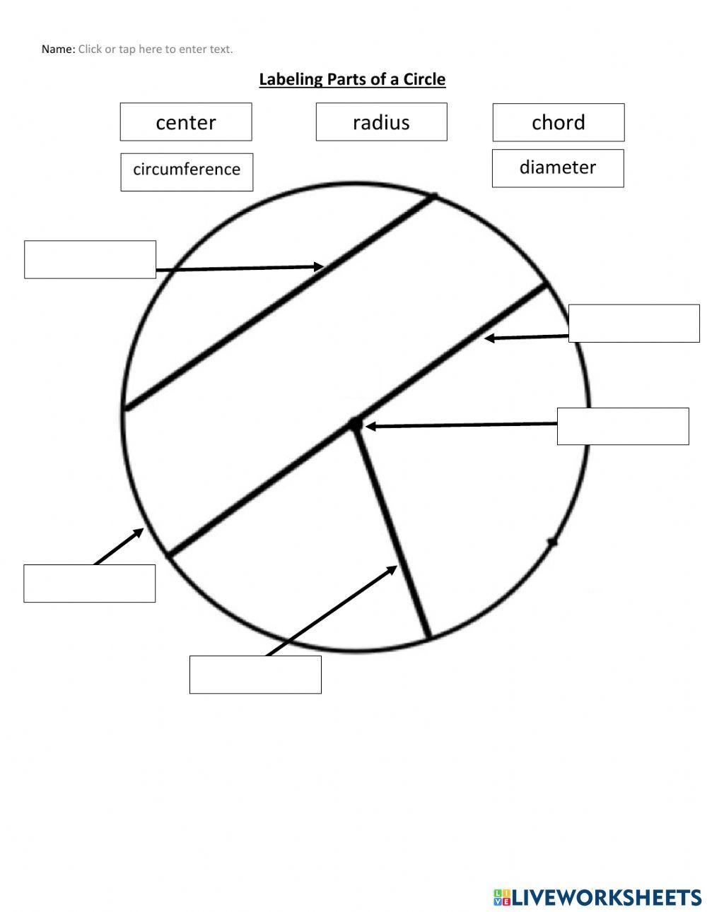 Labelling Parts Of A Circle Worksheet Worksheets Library