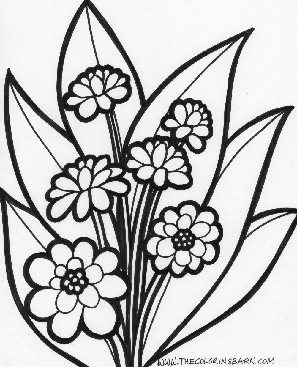 Large Coloring Pictures For Adults Coloring Pages