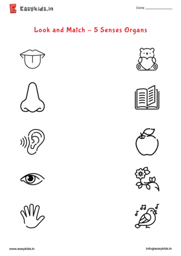 LKG GK Worksheet EasyKids in