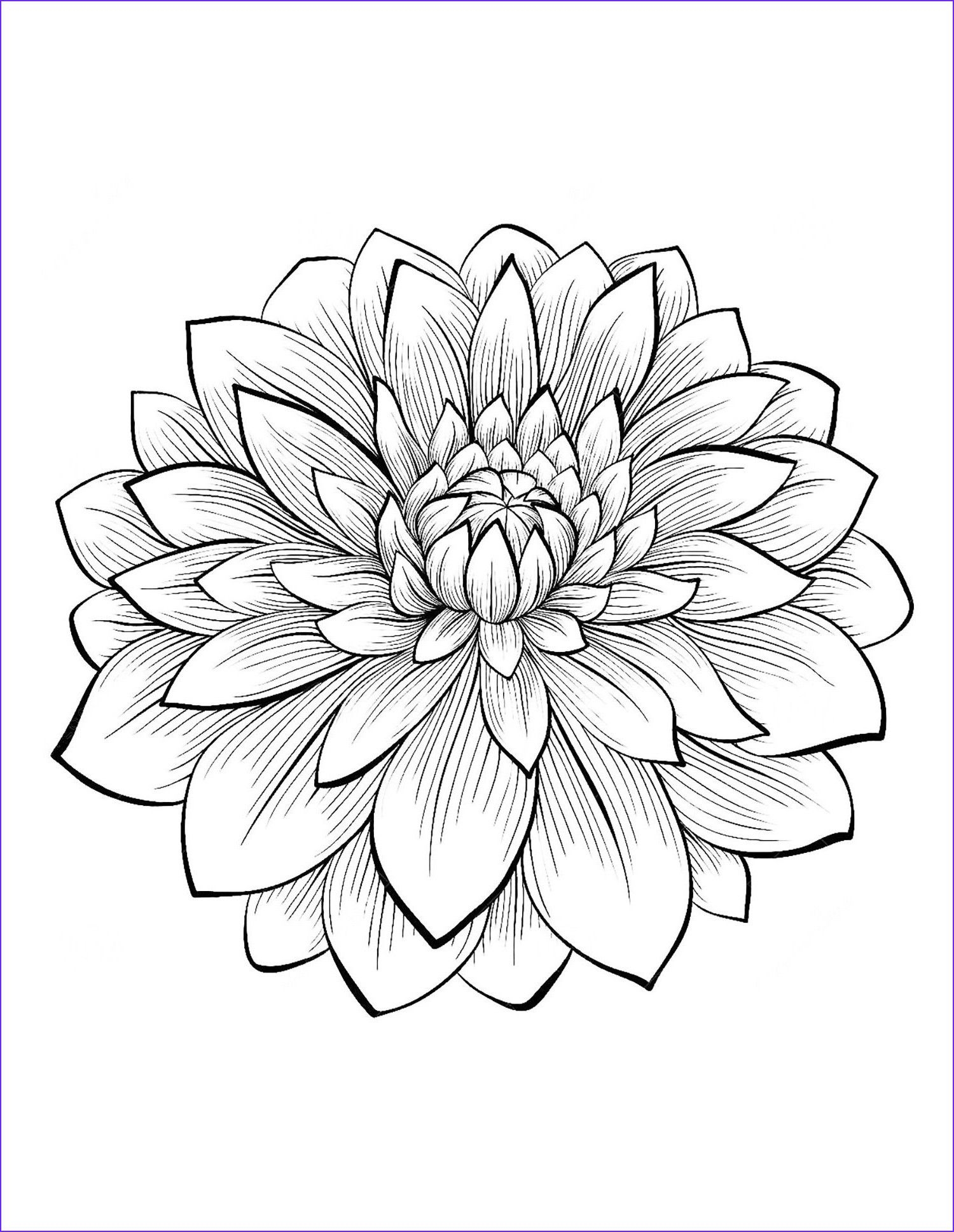 Lotus Flower Coloring Pages Printable