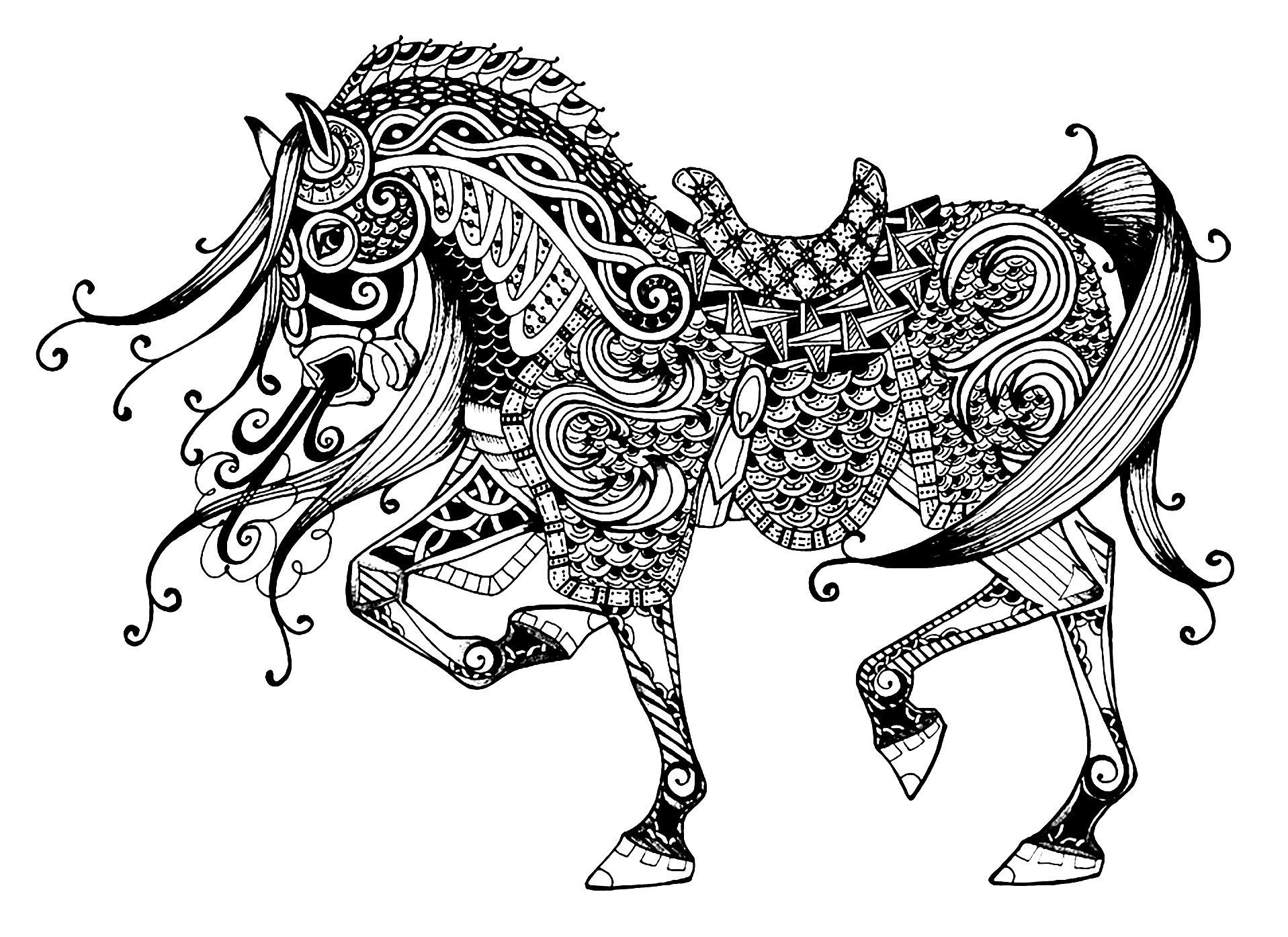 Majestic Horse Horses Adult Coloring Pages