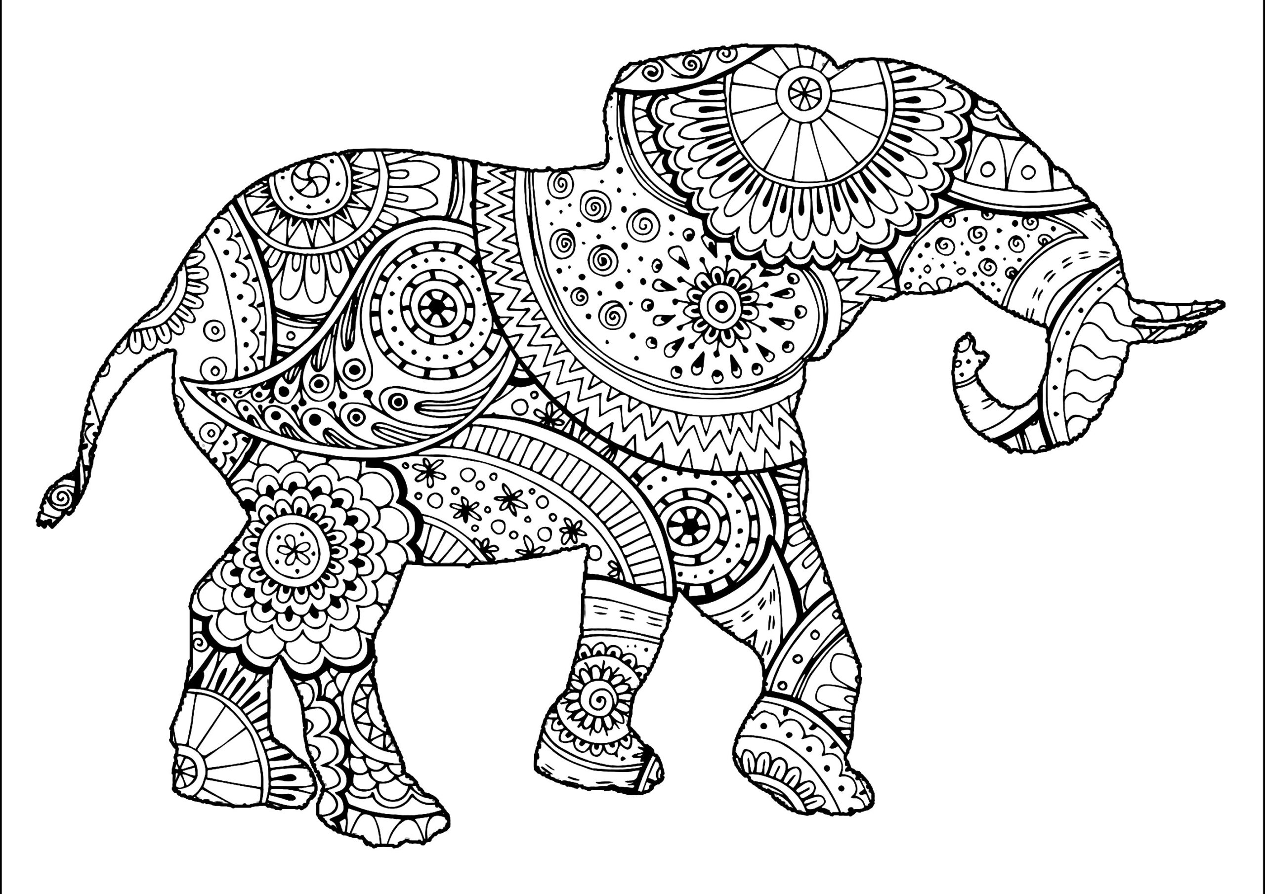 Mandala Elephant Coloring Sheet Coloring Pages