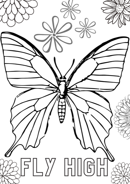 Mindfulness Colouring For Kids Sale Codes Www micoope gt