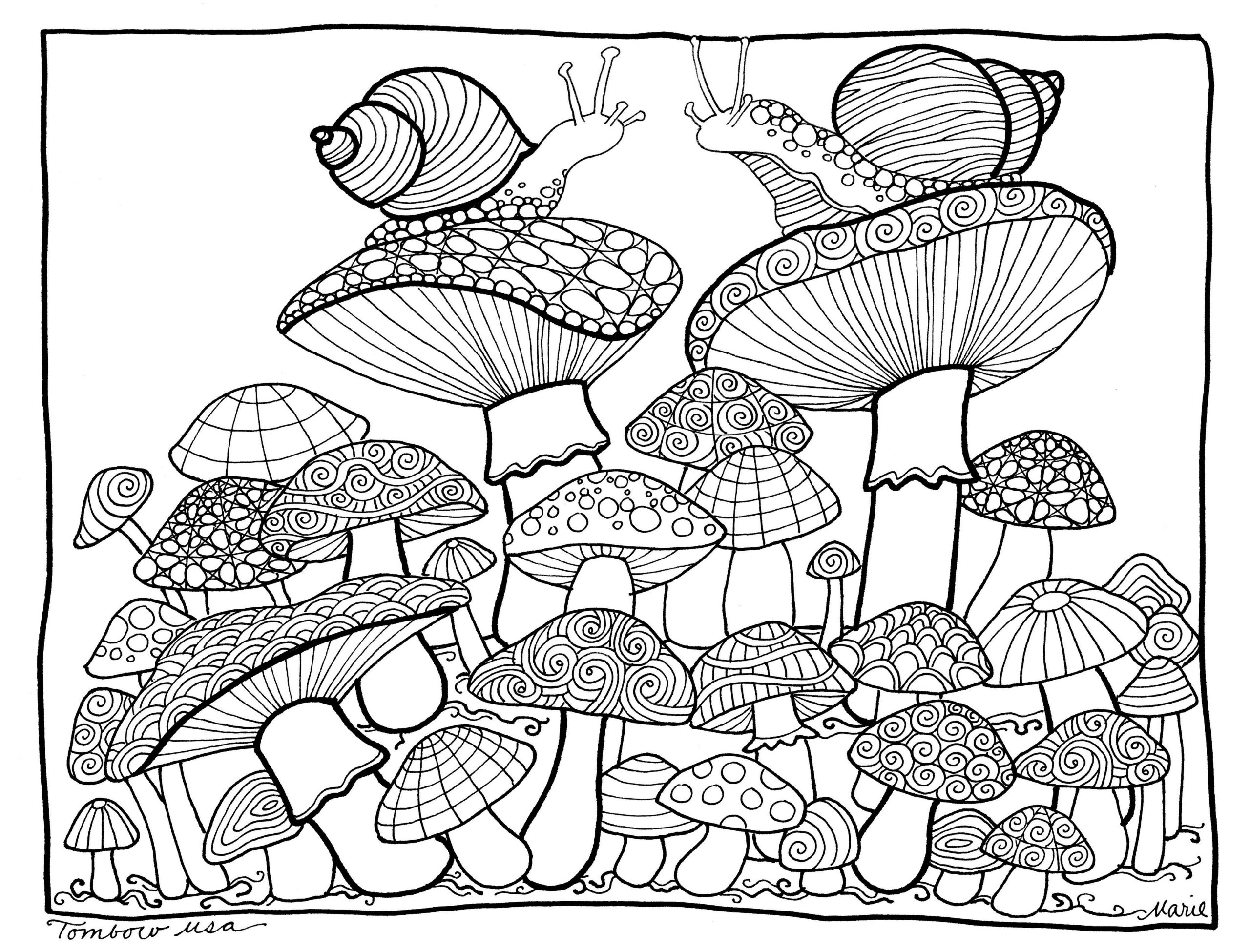 Mushroom House Coloring Pages Coloring Pages Easy Coloring Pages 