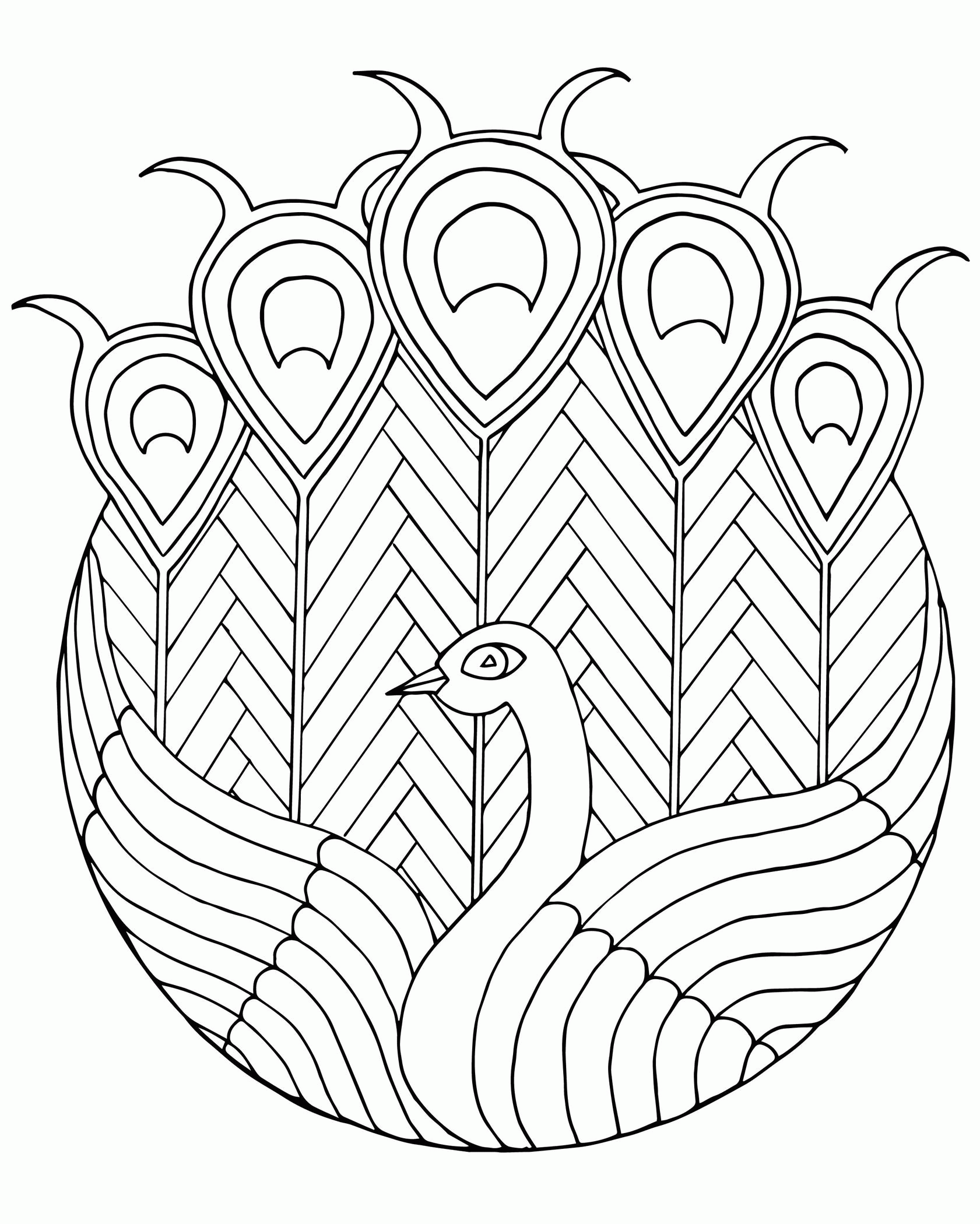 Peacock Coloring Pages For Adults Coloring Home