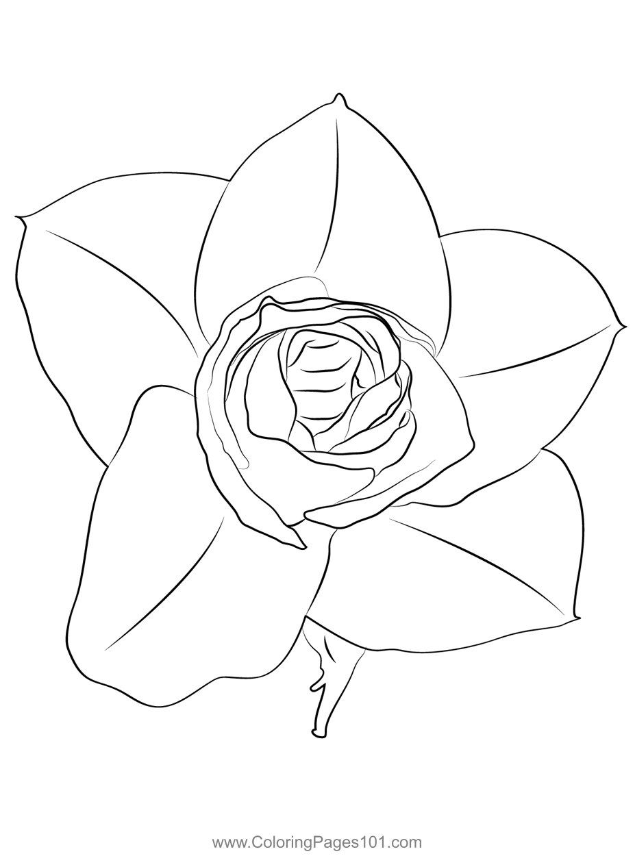 Petite Rose Coloring Page For Kids Free Rose Printable Coloring Pages 