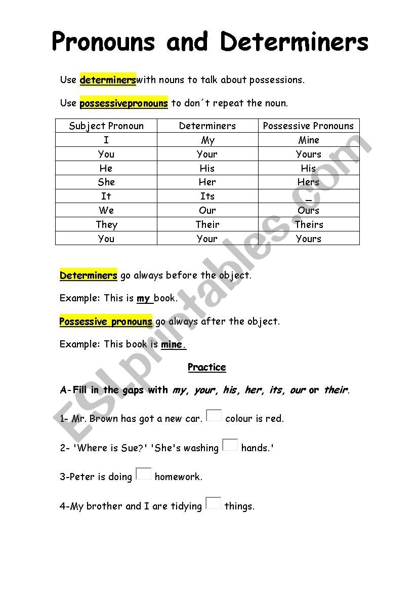Possessive Determiners Worksheet