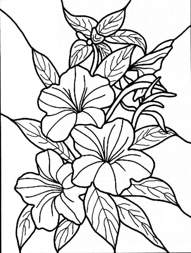 Printable Coloring Pages Flower
