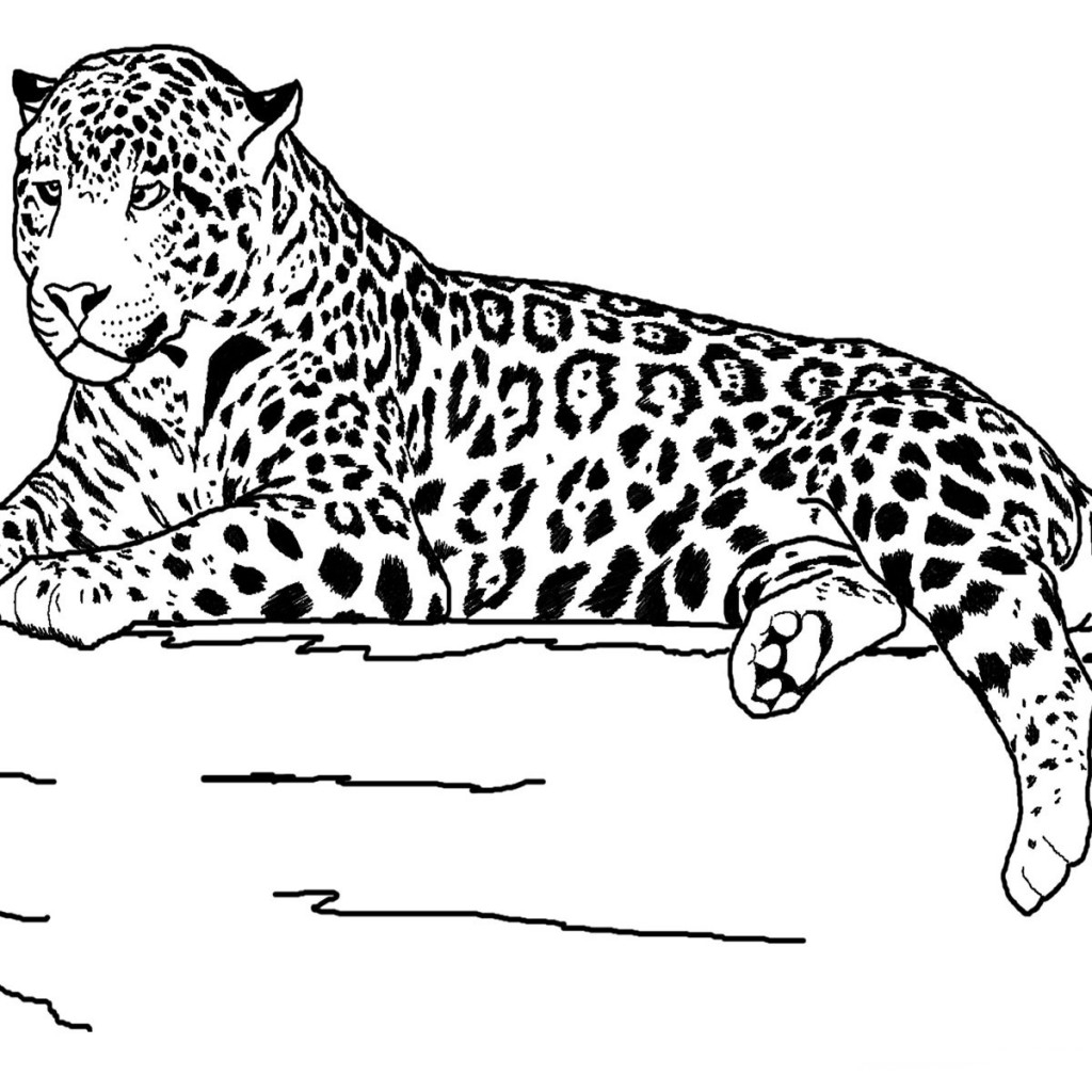 Printable Realistic Animal Coloring Pages At GetColorings Free