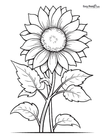 Printable Sunflower Coloring Pages 25 Sheets Easy Peasy And Fun