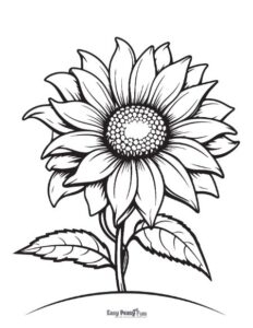 Printable Sunflower Coloring Pages 25 Sheets Easy Peasy And Fun