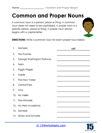 Proper Nouns Common Nouns And Pronouns With Ninjas Answers
