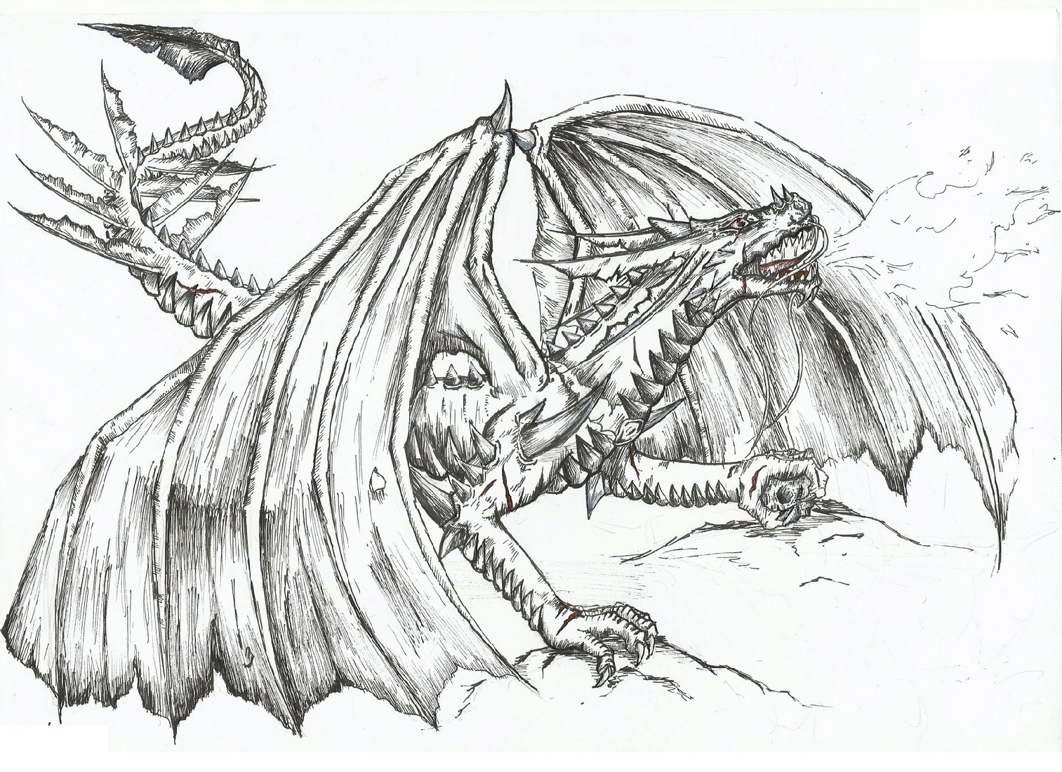 Realistic Dragon Coloring Pages K5 Worksheets