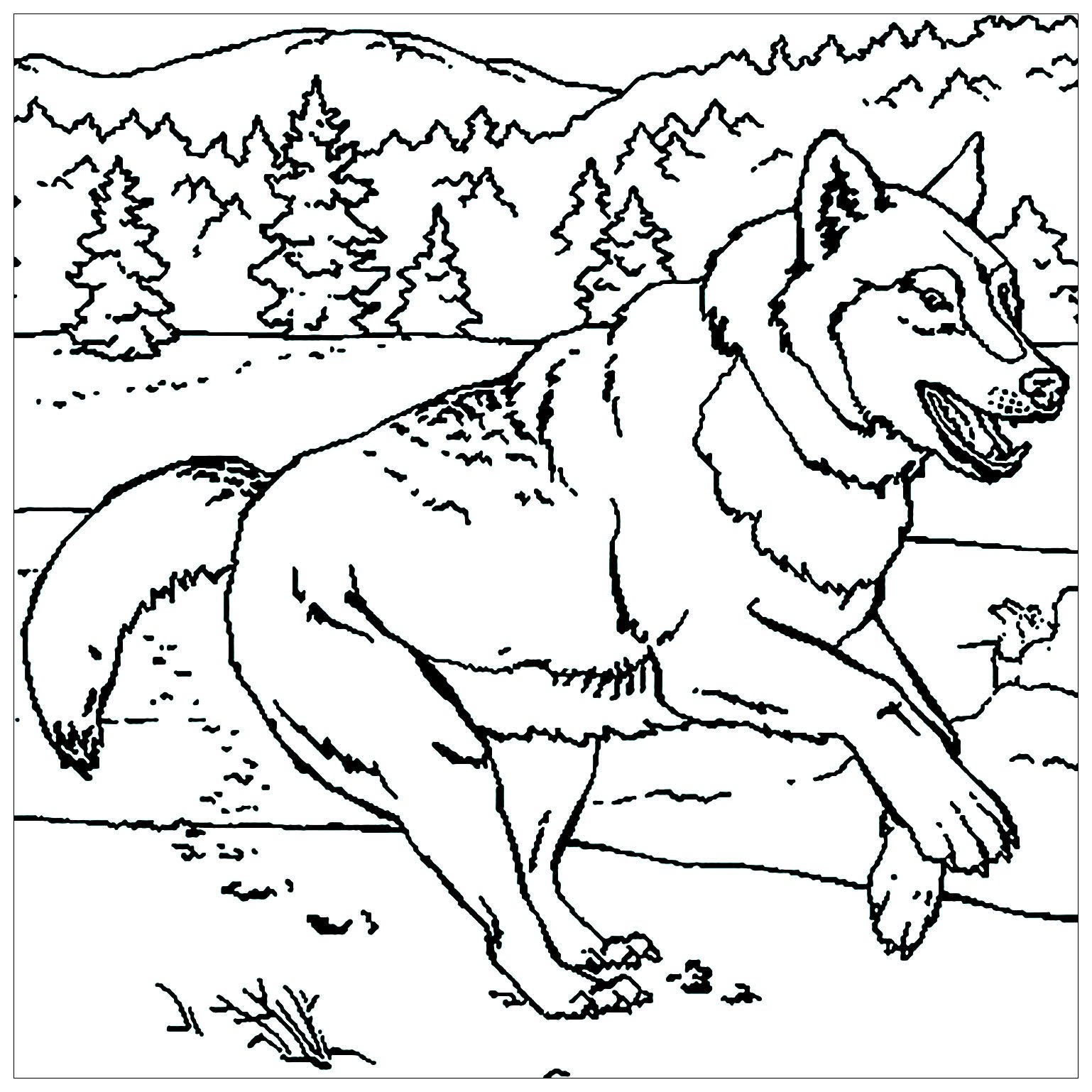 Running Wolf Wolf Coloring Pages For Kids