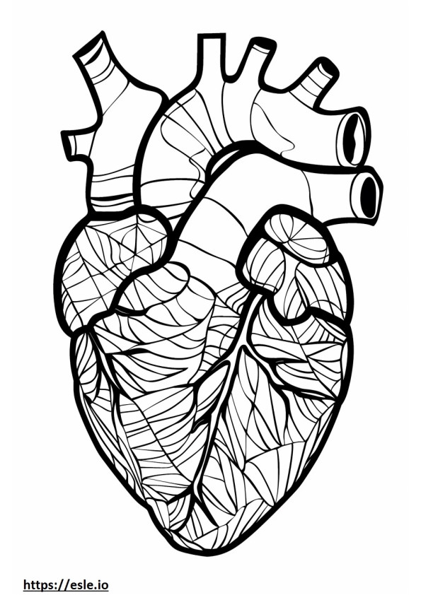 Sacred Heart Coloring Sheet