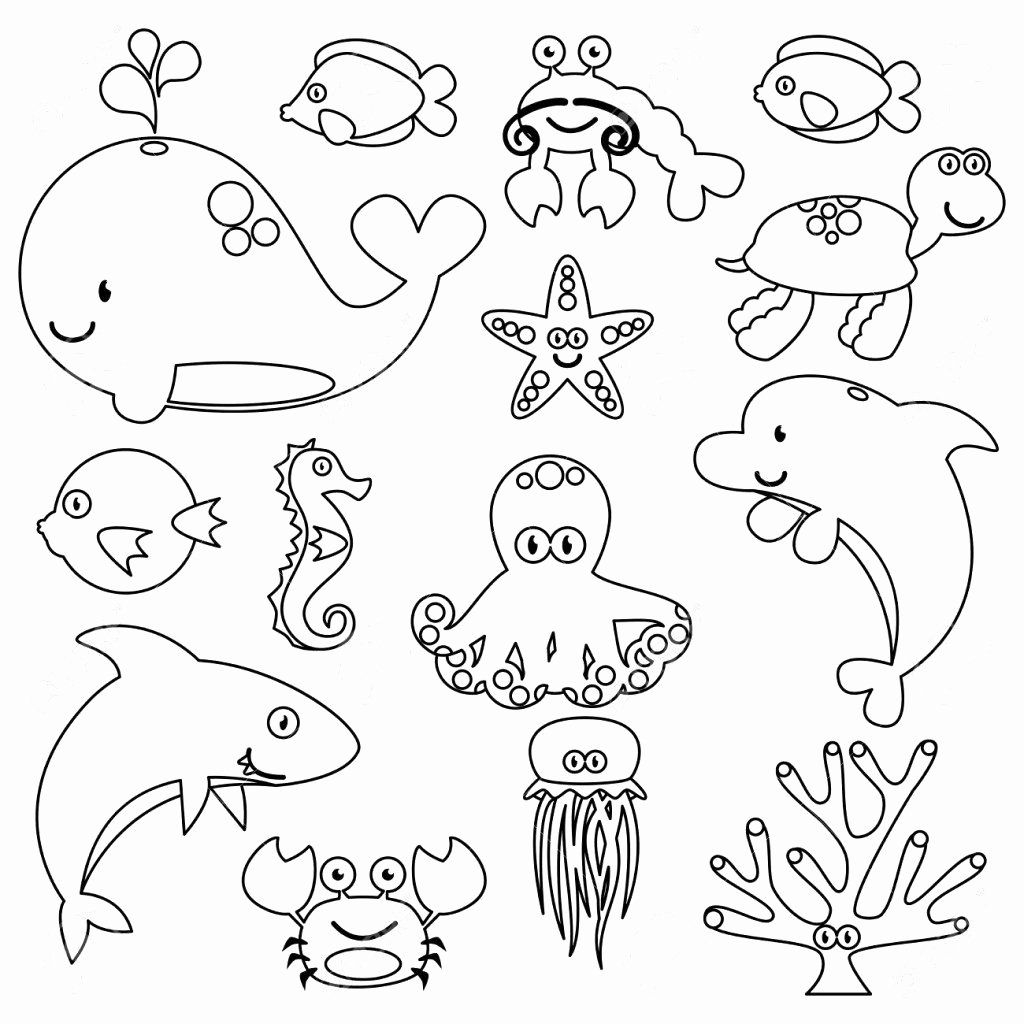 Sea Animals Coloring Pages To Print