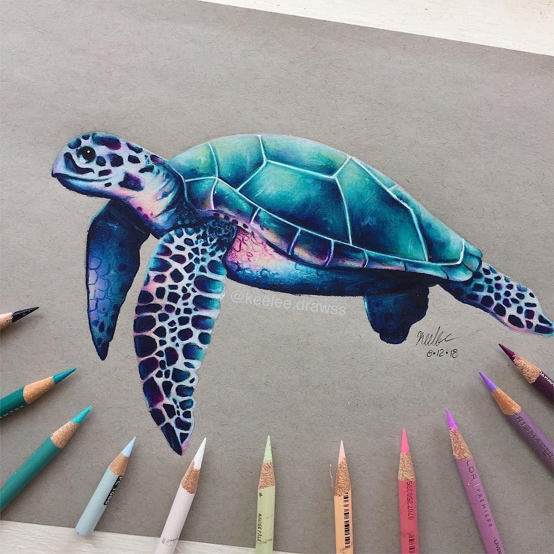 Sea Turtle Drawing Color Warehouse Of Ideas