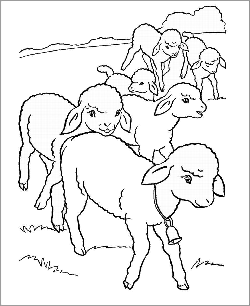 Sheep Coloring Pages ColoringBay