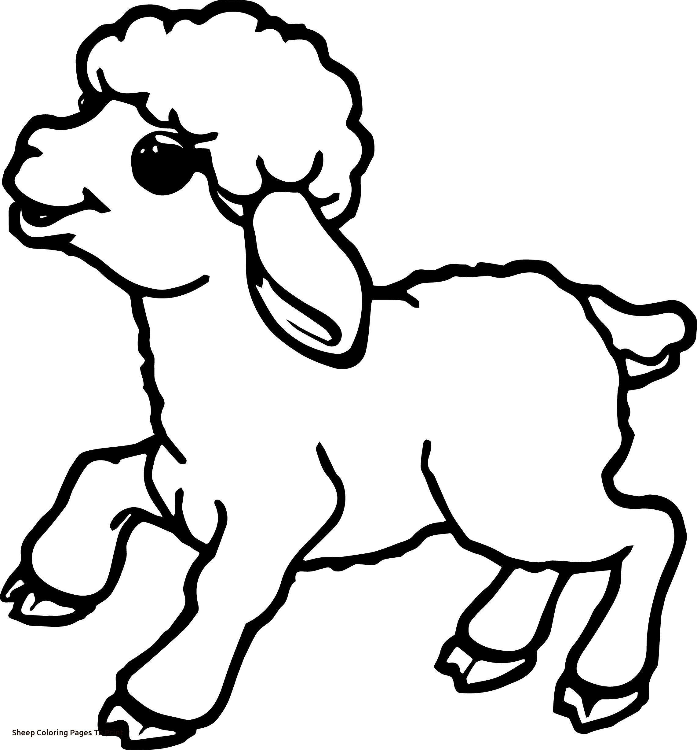 Sheep Outline Drawing At GetDrawings Free Download