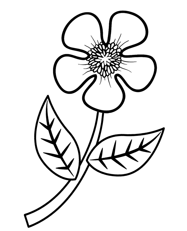 Simple Flower Coloring Pages Coloring Pages
