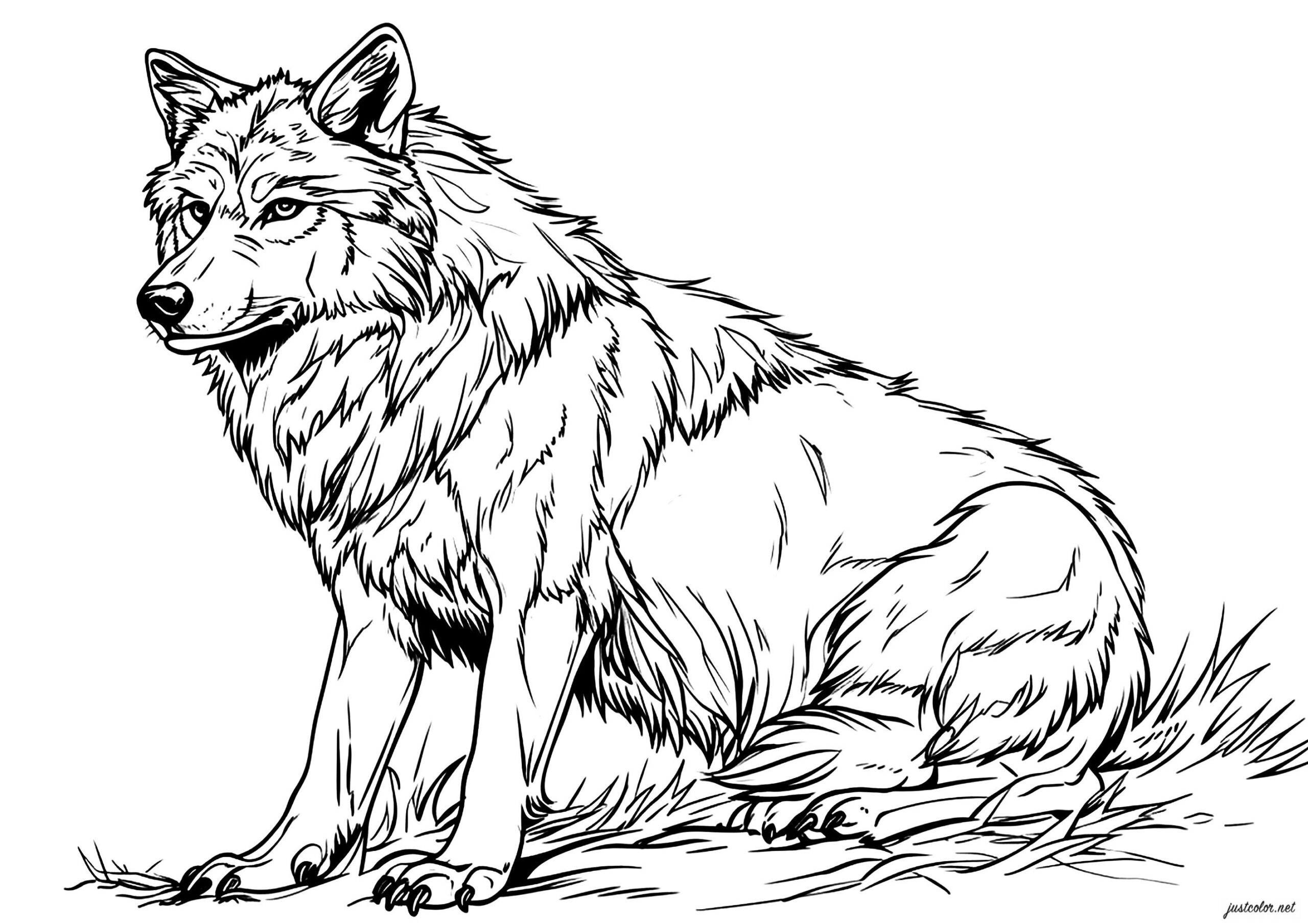 Simple Wolf Drawing Wolf Coloring Pages For Kids