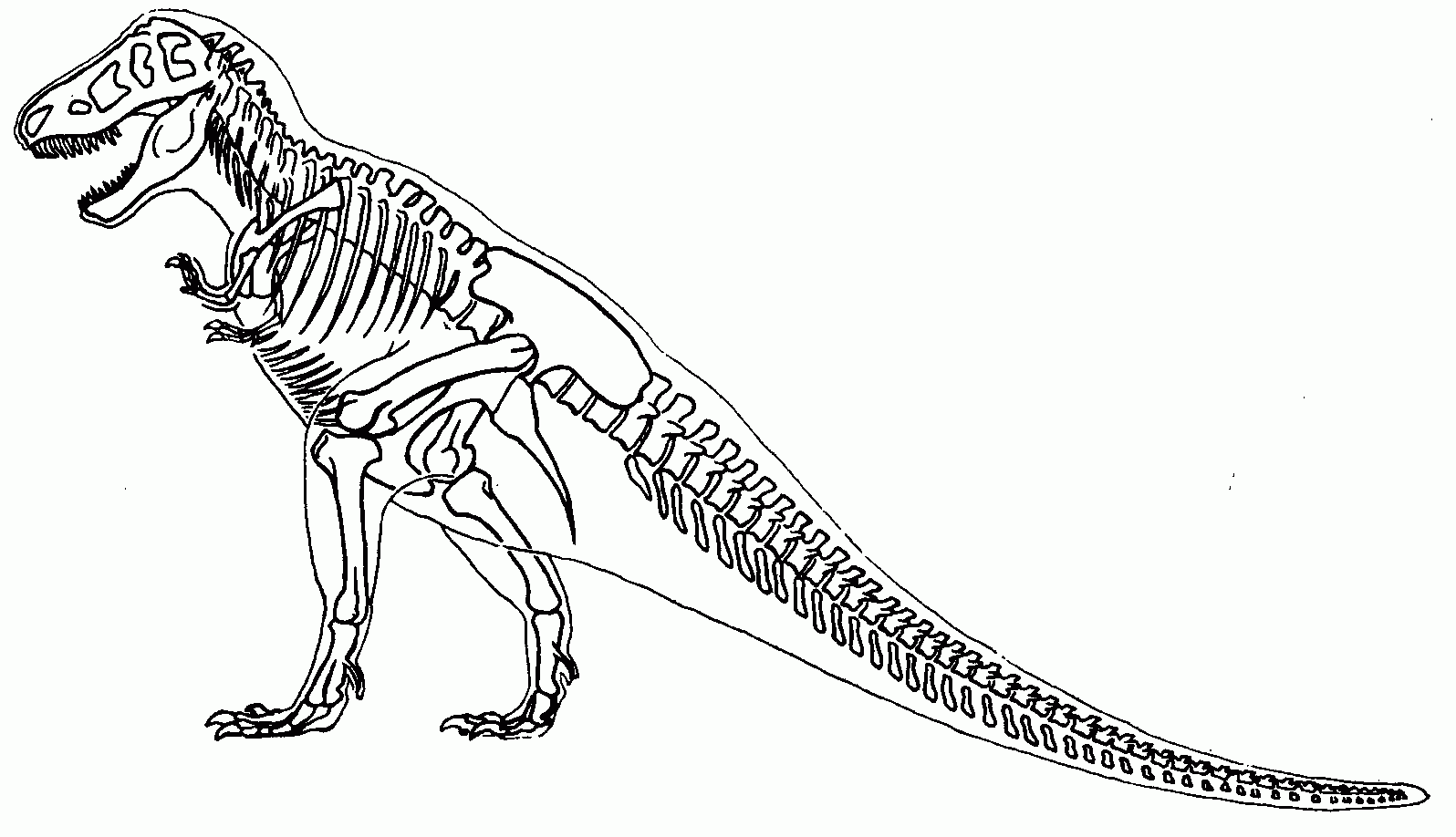 Skeleton T Rex Coloring Page Free Printable Coloring Pages For Kids