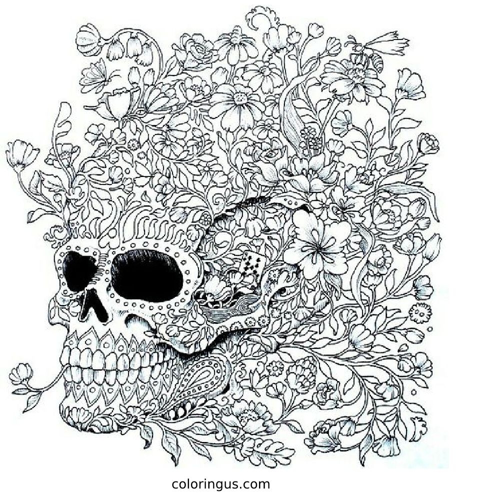 Skull Coloring Pages Free Printable PDF 