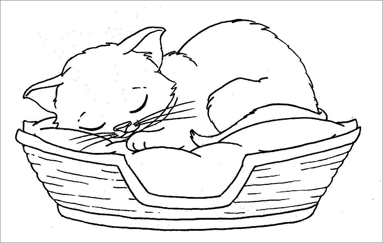 Sleeping Kitten Coloring Pages ColoringBay