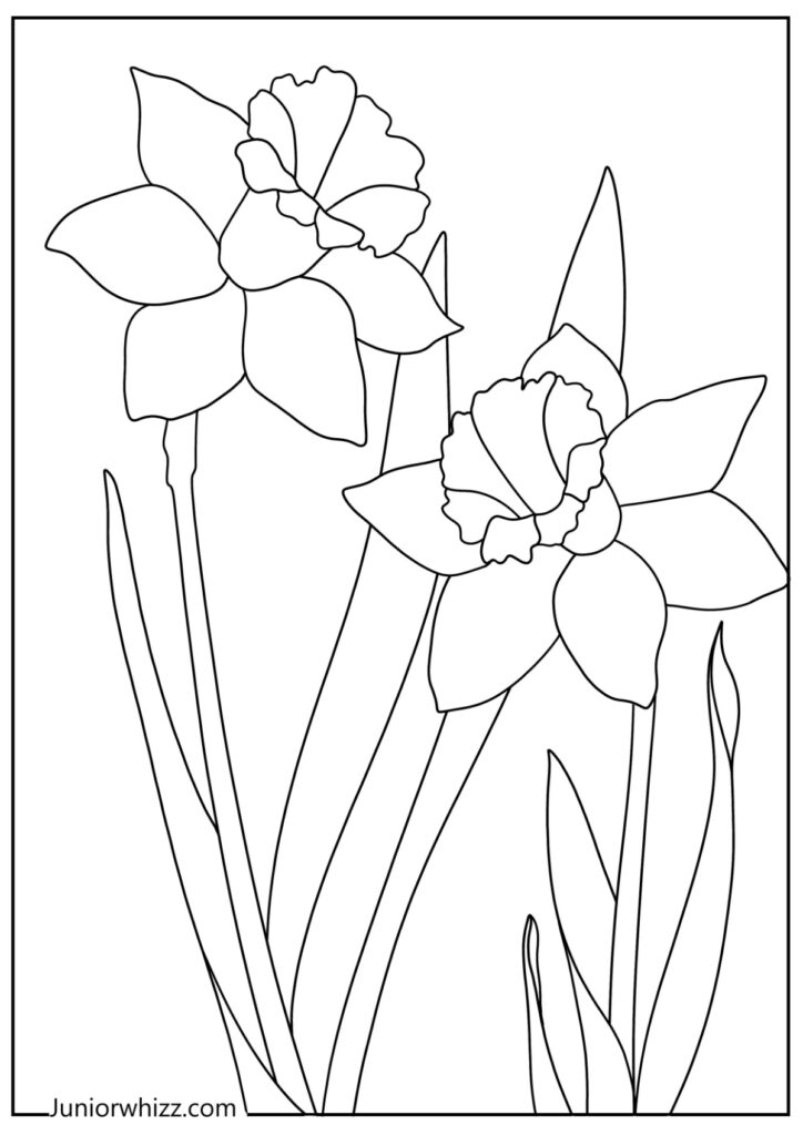 Spring Flowers Coloring Pages 14 Printable PDFs 