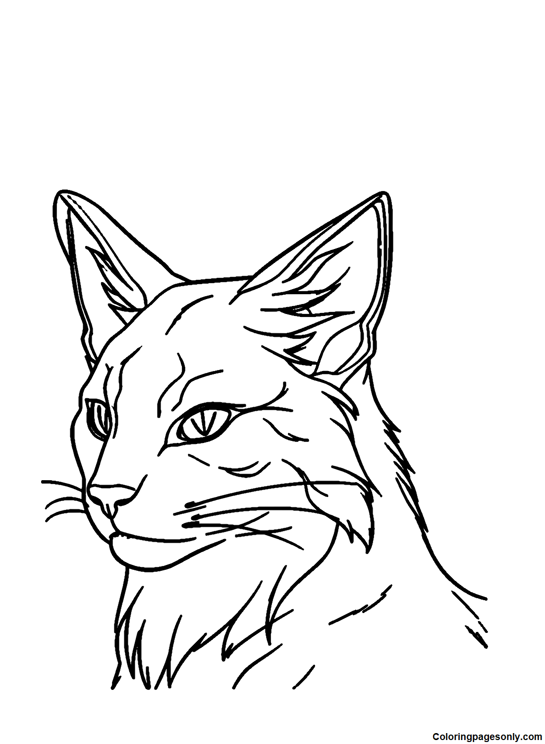 Squirrelflight From Warrior Cats Coloring Page Free Printable 