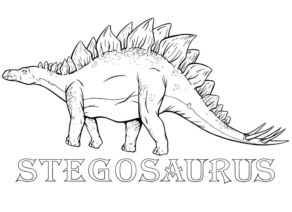 Stegosaurus 6 Coloring Page Free Printable Coloring Pages For Kids