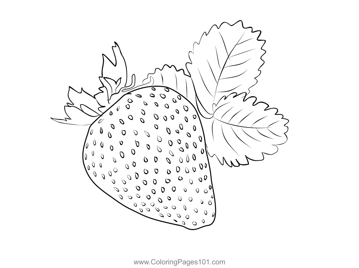 Strawberry 1 Coloring Page For Kids Free Strawberry Printable 
