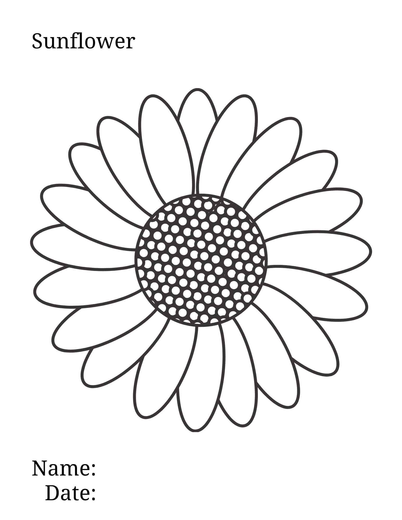 Sunflower Coloring Page Sunflower Coloring Pages Sunflower Drawing 