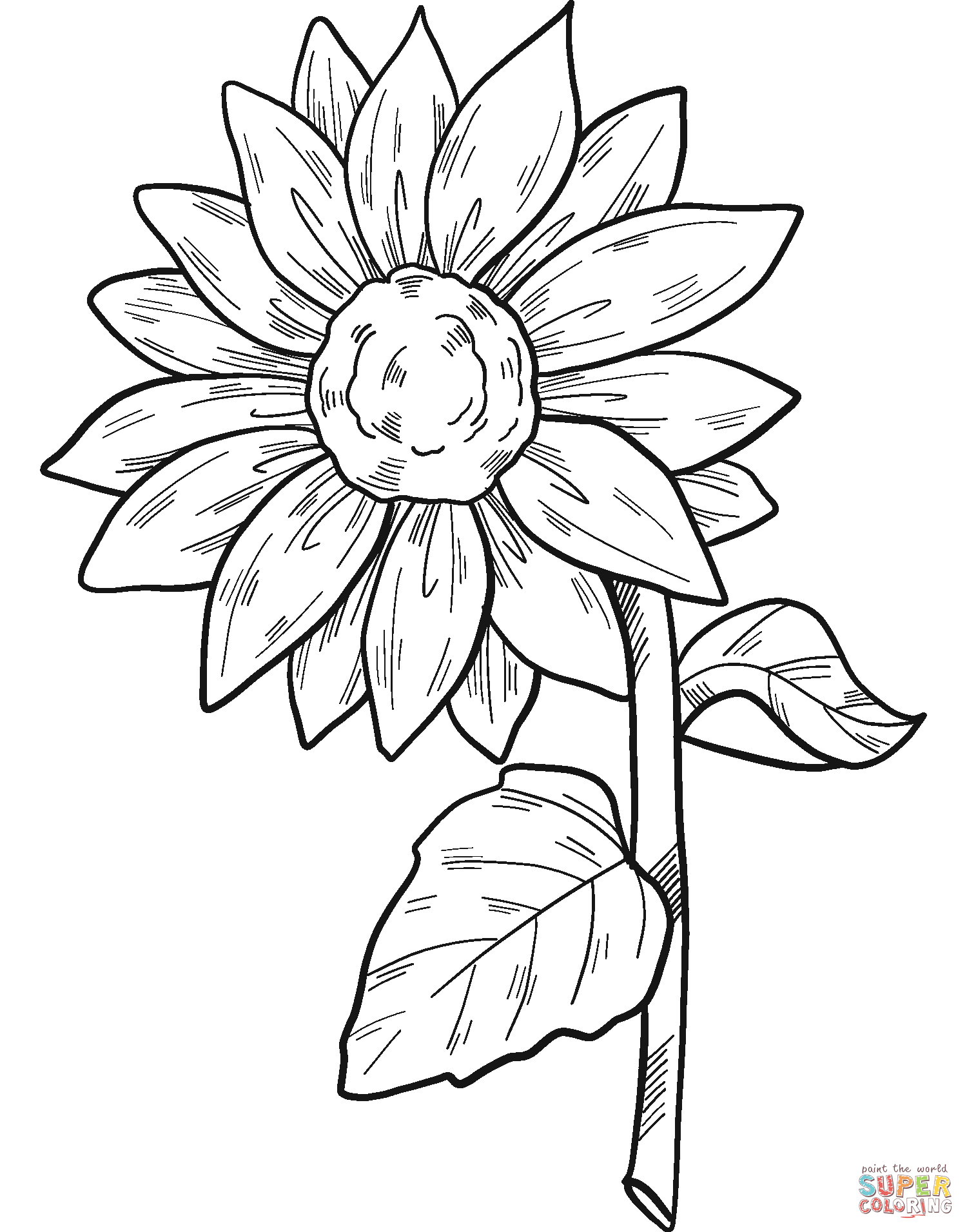 Sunflower Coloring Pages Sunflower Coloring Pages Coloring Pages