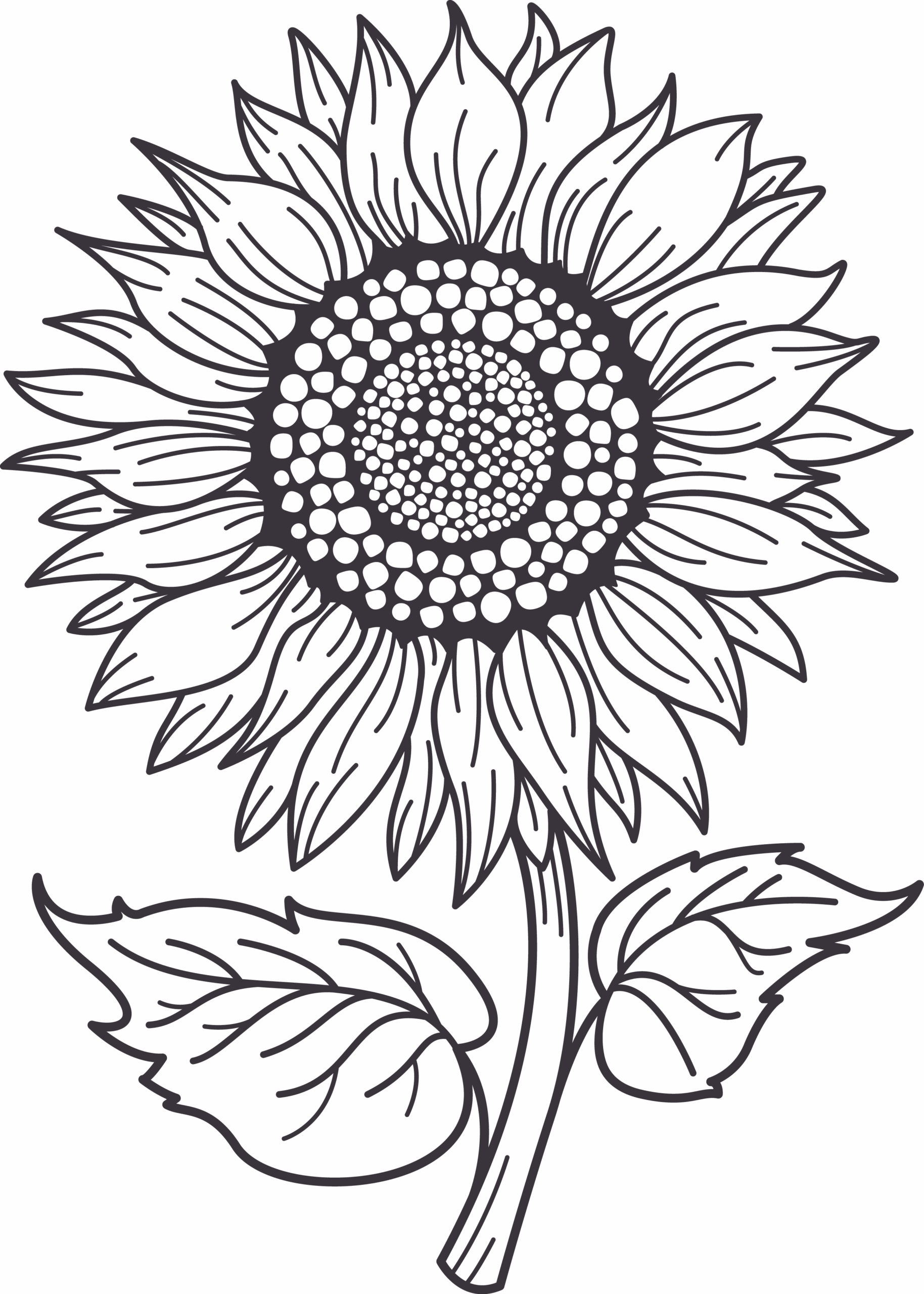 Sunflower Monograms Coloring Sunflower Mini Bundle Sunflower Made 