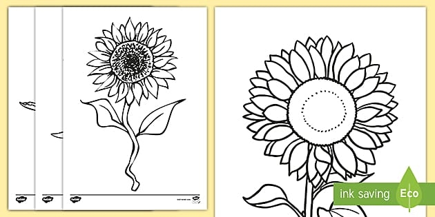 Sunflower Template Colouring Pages teacher Made Twinkl