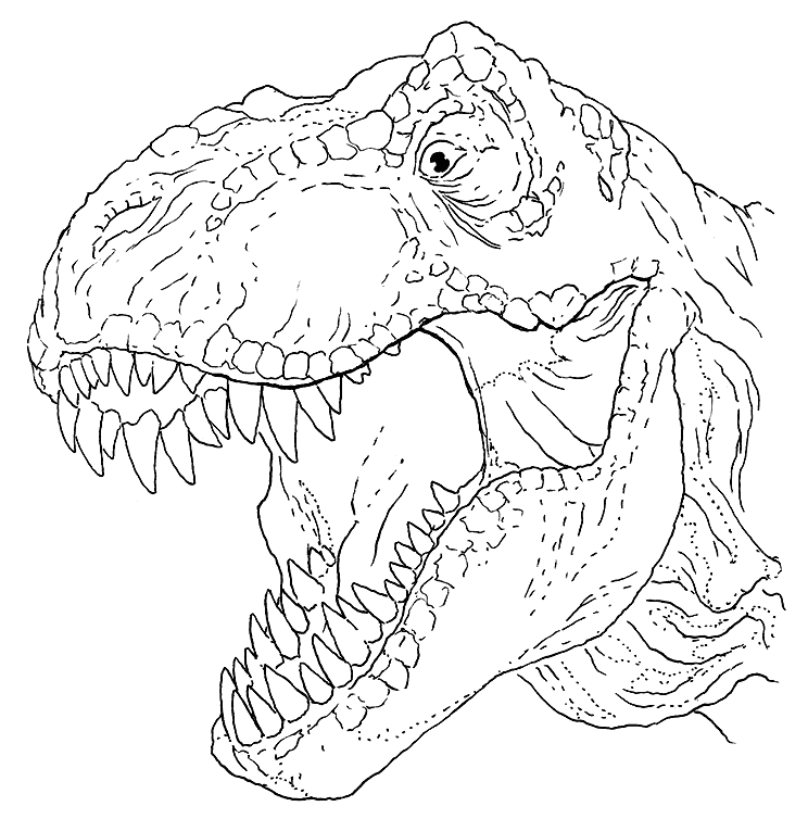 T Rex Coloring Pages Printable Coloring Pages FREE