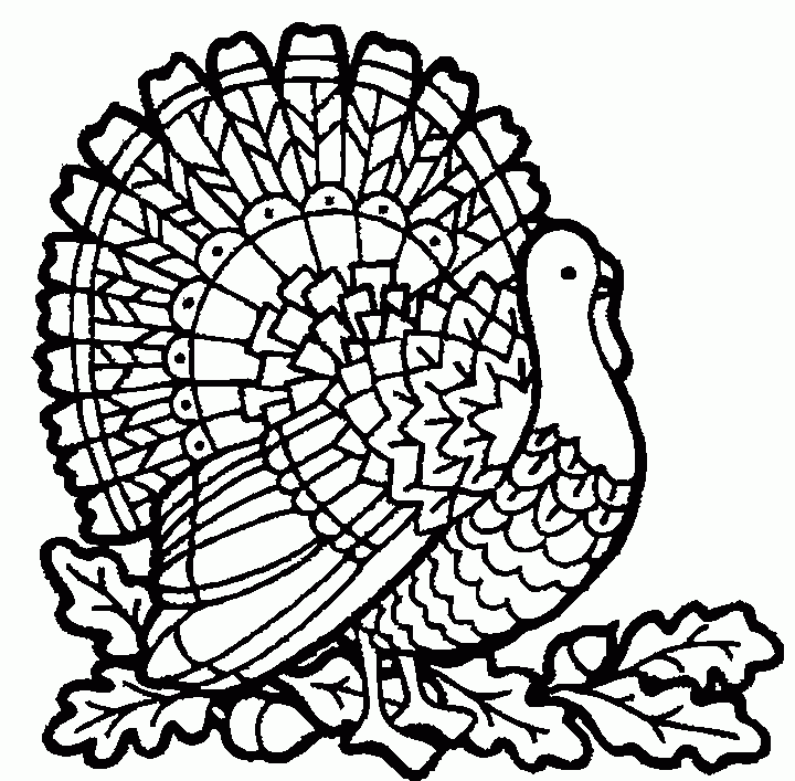 Thanksgiving Turkey Coloring Pages To Print For Kids