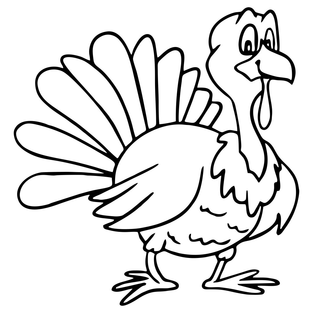 Thanksgiving Turkey Coloring Sheet Coloring Pages Images And Photos 