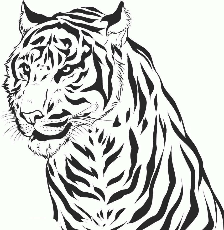 Tiger Printable Coloring Pages Coloring Home
